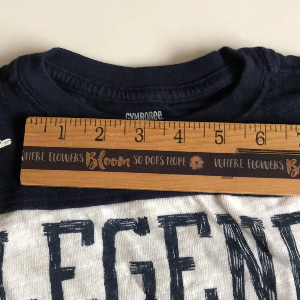 Gymboree Boys Legend T Shirt White and Blue 06 Legend Shirt Boys 8